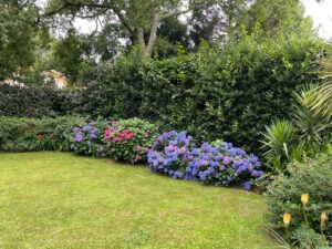 hortensia jardin haritzaga chambre d'hôte biarritz